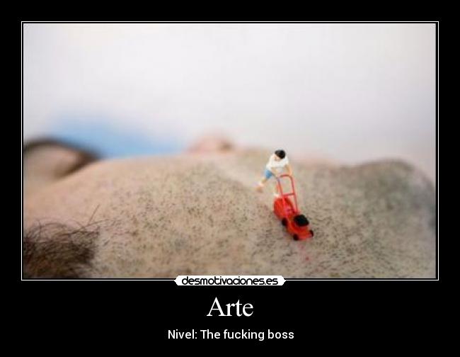 Arte - Nivel: The fucking boss