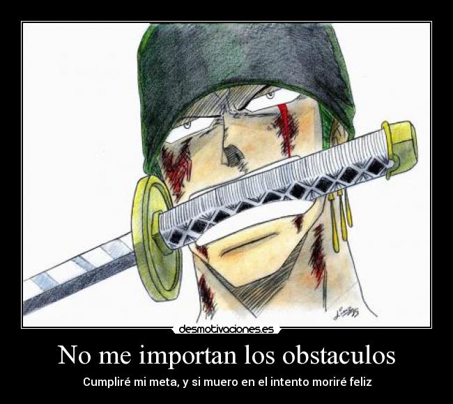 carteles obstaculos zoro desmotivaciones