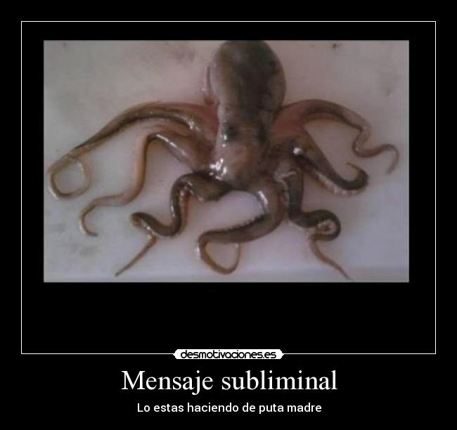 Mensaje subliminal - Lo estas haciendo de puta madre