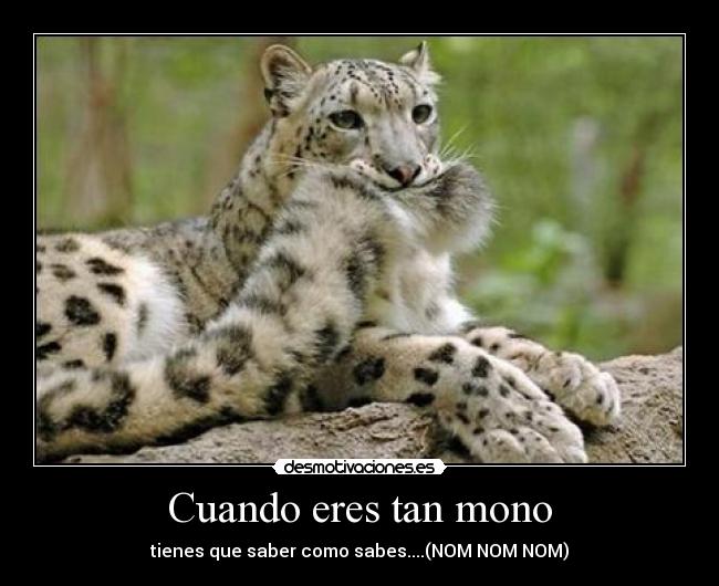 carteles ooois^^ desmotivaciones