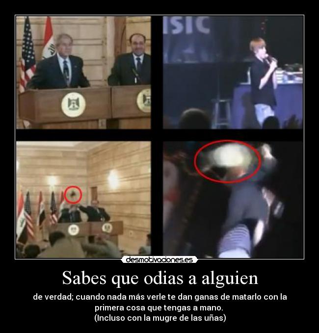 carteles bieber bush desmotivaciones