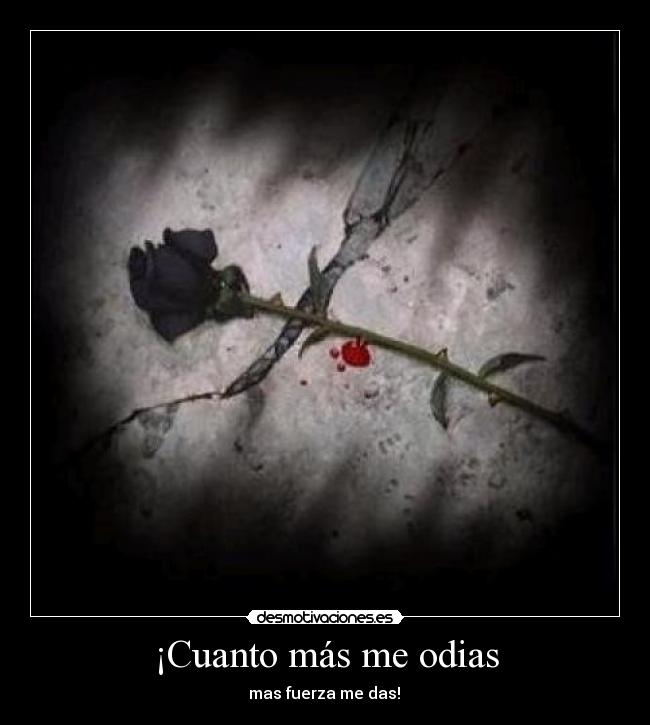 carteles odio odiar fuerza rosa negra odioso cuchillo desmotivaciones