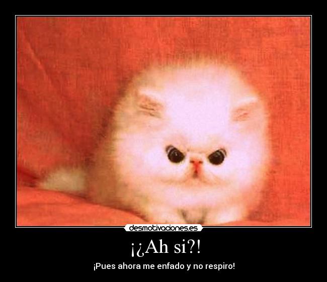 ¡¿Ah si?! -