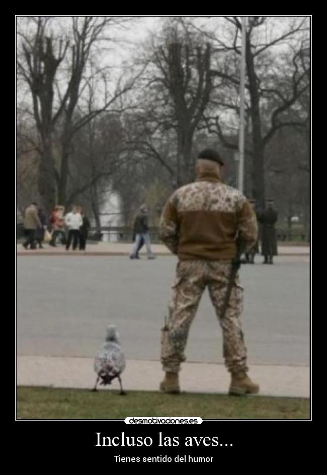 Incluso las aves... -