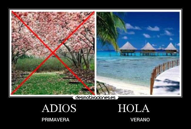 ADIOS              HOLA - 