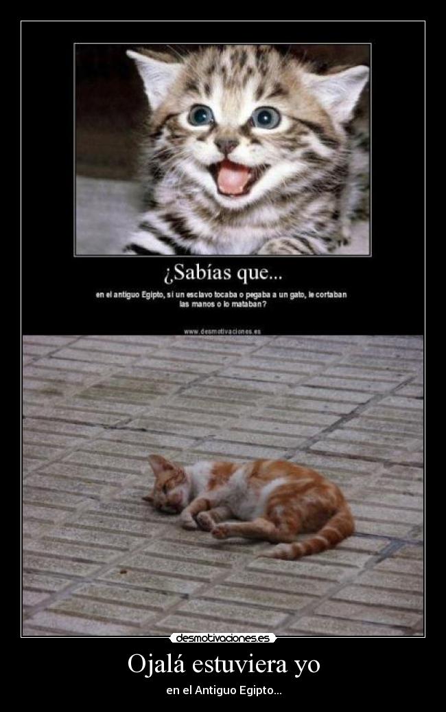 Ojalá estuviera yo - en el Antiguo Egipto...