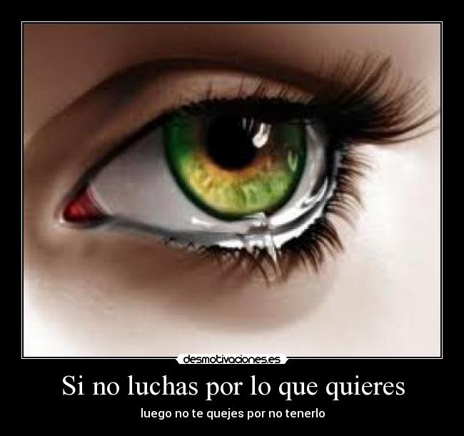 Si no luchas por lo que quieres -