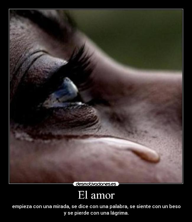 El amor - 