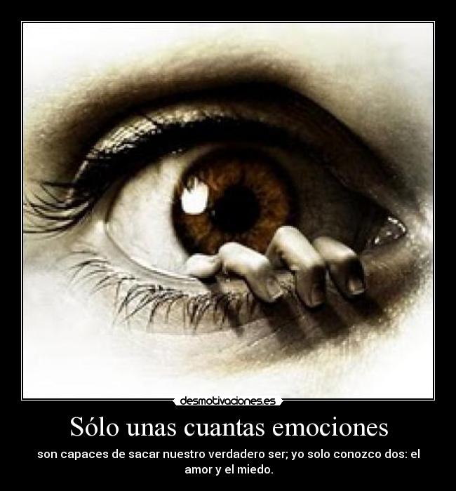 Sólo unas cuantas emociones - son capaces de sacar nuestro verdadero ser; yo solo conozco dos: el amor y el miedo.