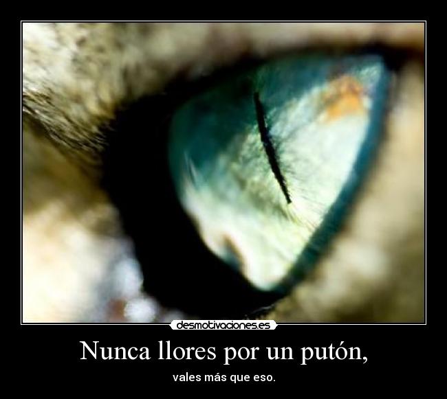 Nunca llores por un putón, - vales más que eso.