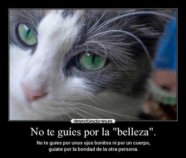No te guíes por la belleza. - 