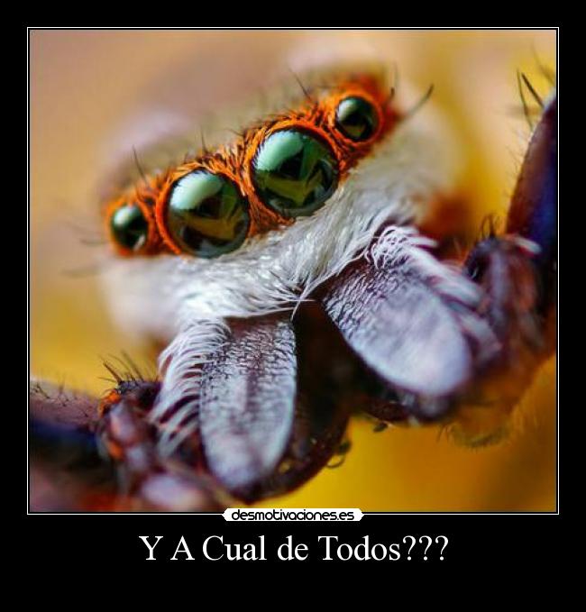 Y A Cual de Todos??? -