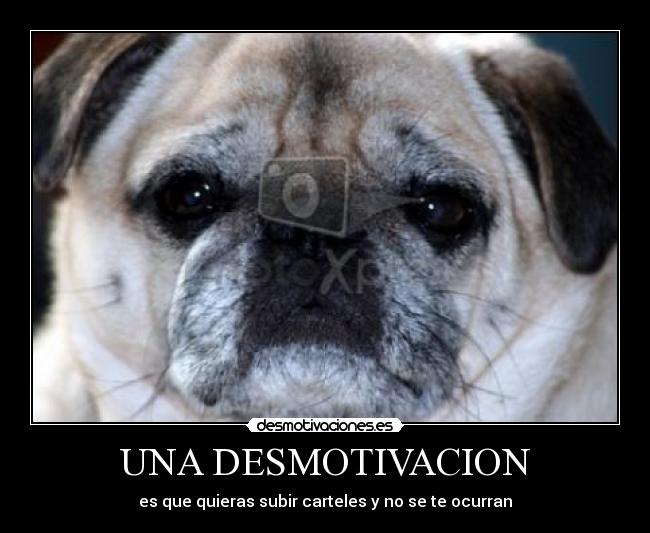 UNA DESMOTIVACION -