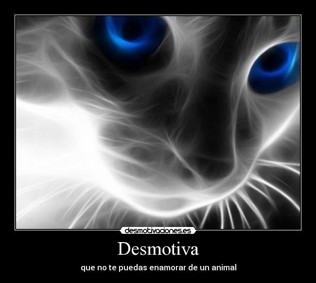 Desmotiva - que no te puedas enamorar de un animal