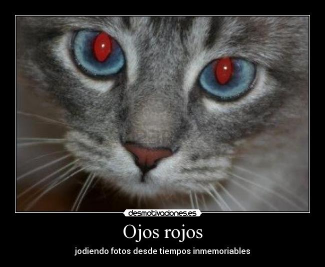 Ojos rojos - jodiendo fotos desde tiempos inmemoriables