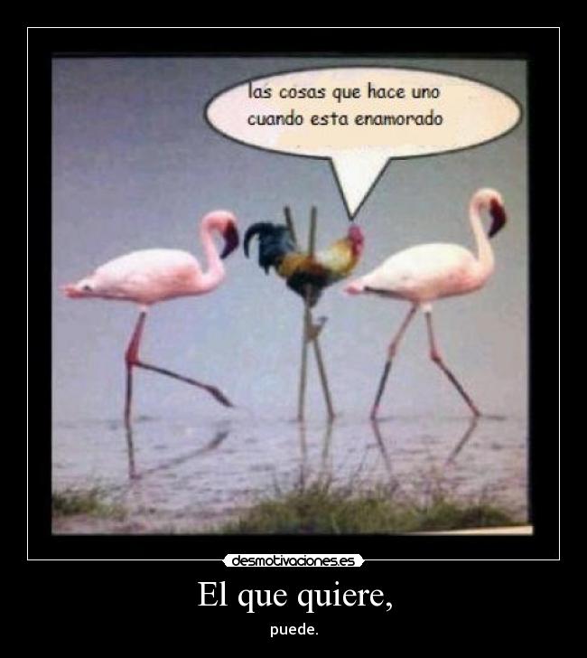 El que quiere, - puede.