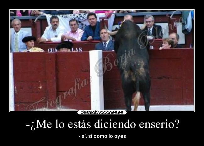 -¿Me lo estás diciendo enserio? - - sí, sí como lo oyes