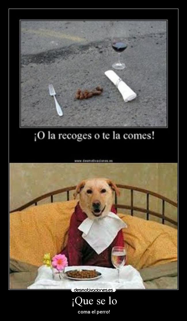 ¡Que se lo - coma el perro!