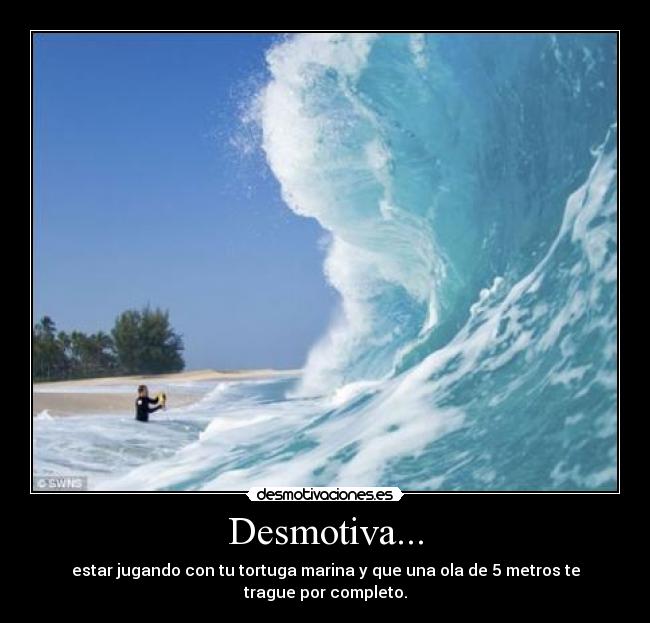 Desmotiva... - estar jugando con tu tortuga marina y que una ola de 5 metros te trague por completo.