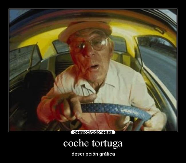 coche tortuga - descripción gráfica