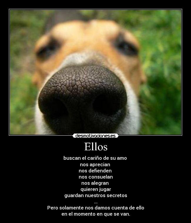 Ellos - 