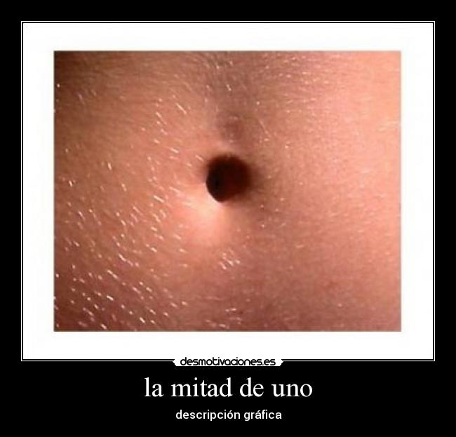 la mitad de uno - descripción gráfica