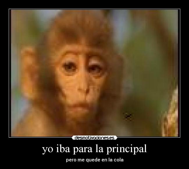 yo iba para la principal - pero me quede en la cola