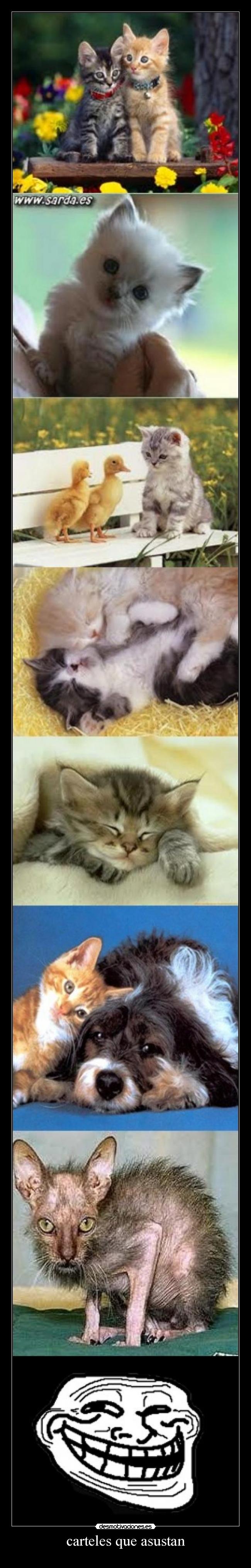 carteles que asustan -