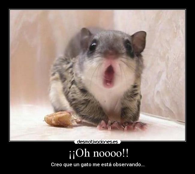 ¡¡Oh noooo!! - 