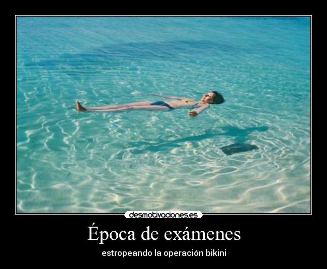 carteles examenes desmotivaciones