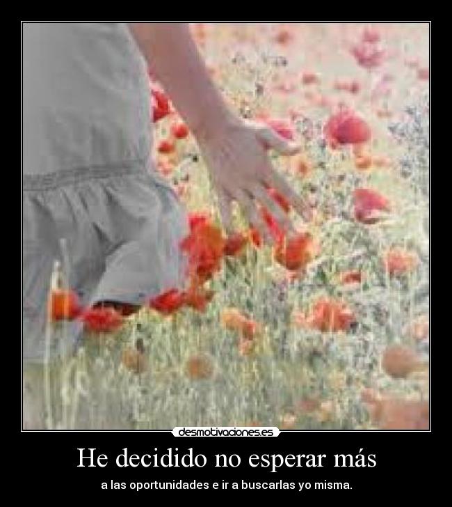 He decidido no esperar más -