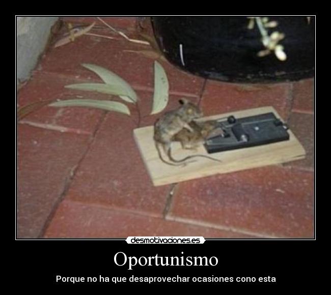 Oportunismo -