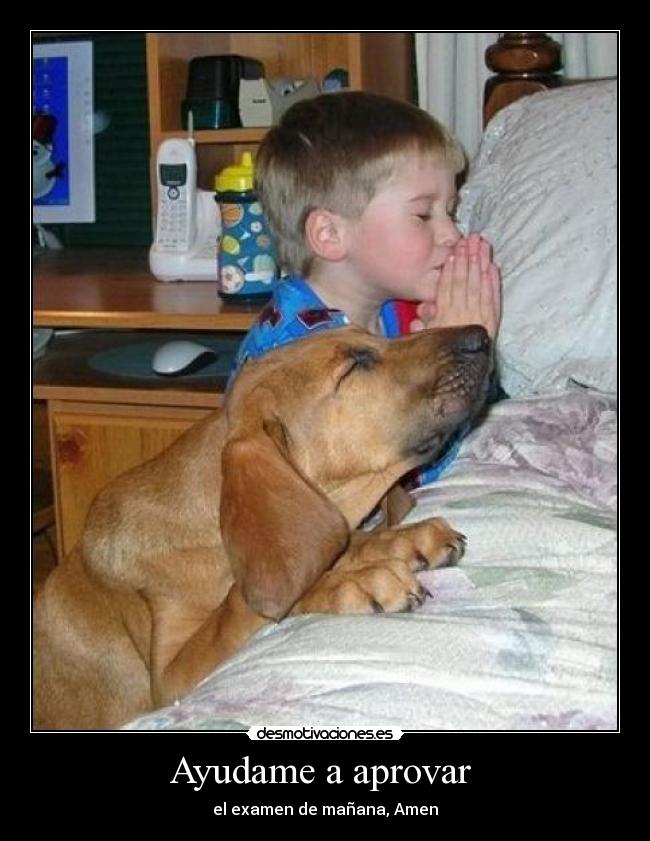 Ayudame a aprovar  - el examen de mañana, Amen