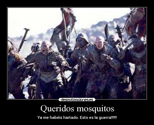 Queridos mosquitos - Ya me habéis hartado. Esto es la guerra!!!!!!