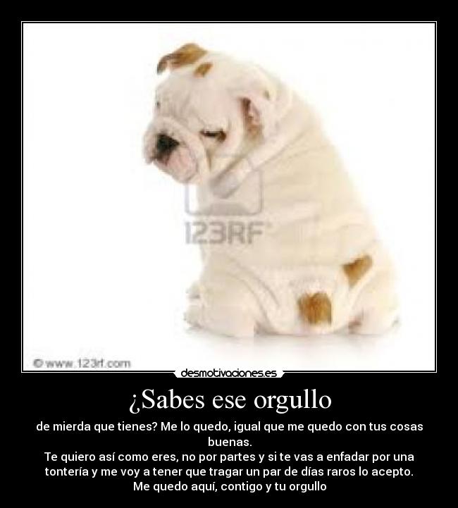¿Sabes ese orgullo -