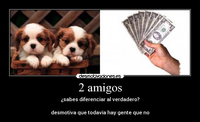 2 amigos - ¿sabes diferenciar al verdadero?

desmotiva que todavía hay gente que no