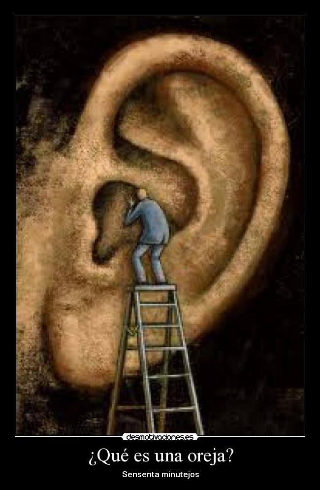 ¿Qué es una oreja? - Sensenta minutejos