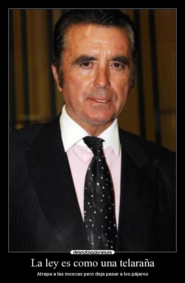 La ley es como una telaraña - Atrapa a las moscas pero deja pasar a los pájaros