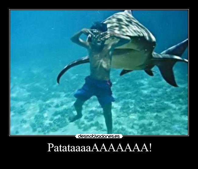 PatataaaaAAAAAAA! - 