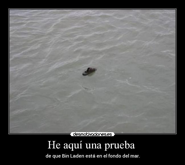 He aquí una prueba - de que Bin Laden está en el fondo del mar.