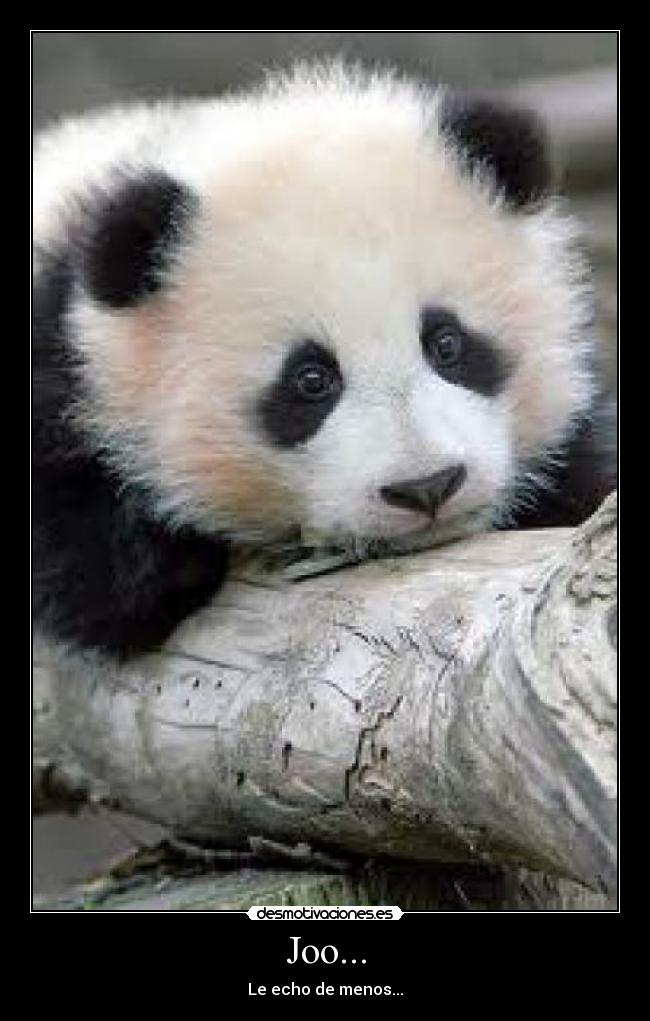 Joo... - Le echo de menos...
