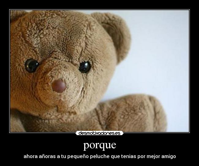 porque - ahora añoras a tu pequeño peluche que tenias por mejor amigo