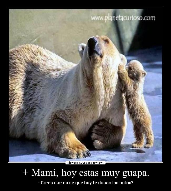 + Mami, hoy estas muy guapa. - - Crees que no se que hoy te daban las notas?