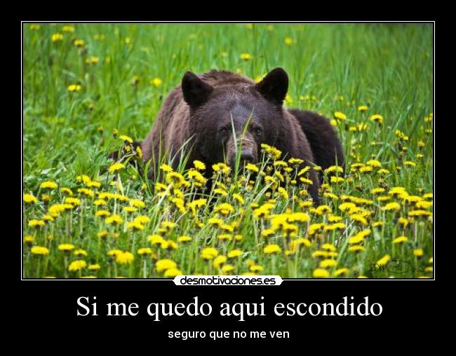 Si me quedo aqui escondido - seguro que no me ven