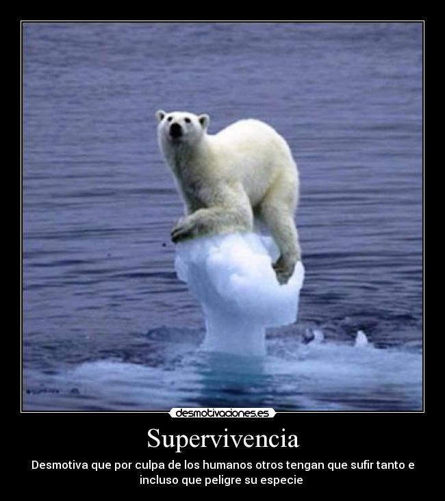 Supervivencia - Desmotiva que por culpa de los humanos otros tengan que sufir tanto e
incluso que peligre su especie