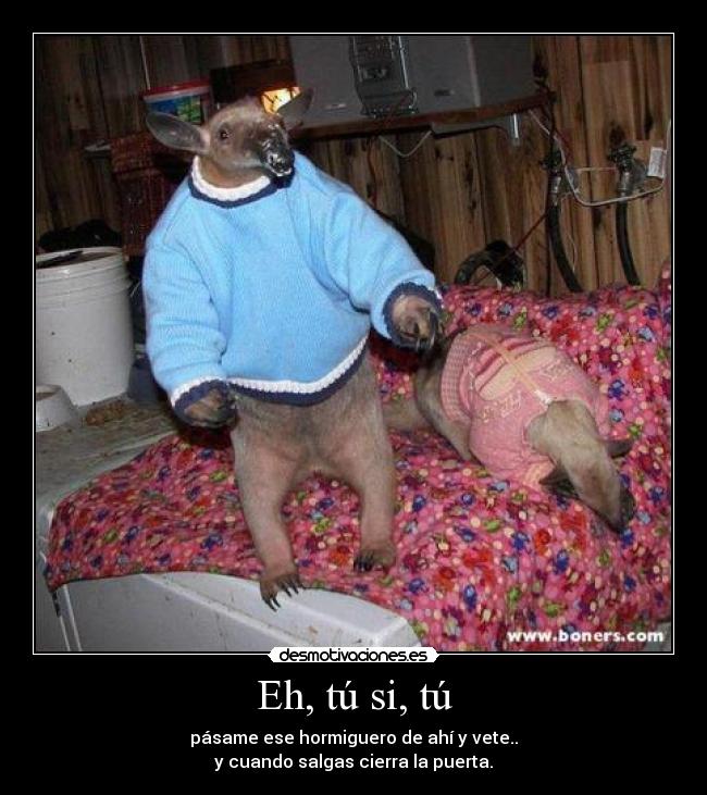 Eh, tú si, tú - pásame ese hormiguero de ahí y vete..
y cuando salgas cierra la puerta.