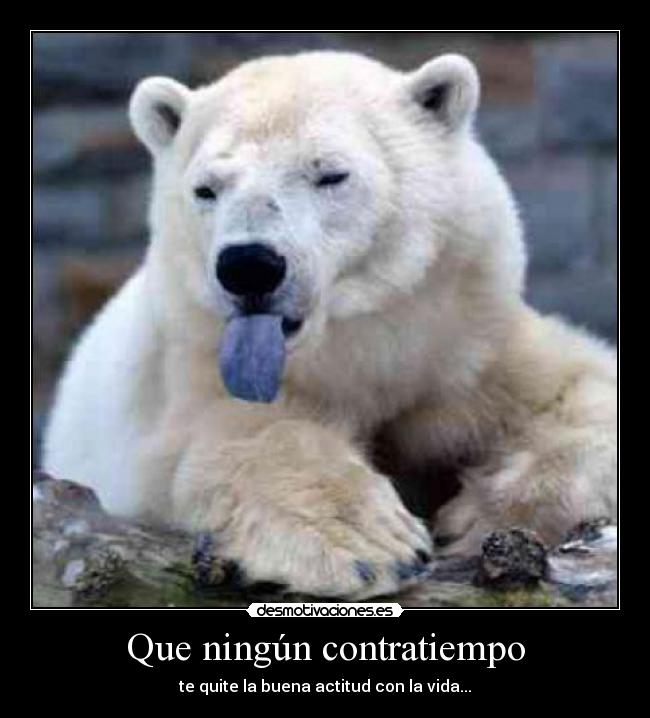 Que ningún contratiempo -