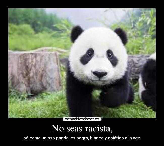 No seas racista, -