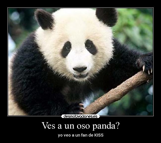 carteles kiss desmotivaciones