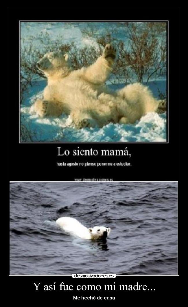 Y así fue como mi madre... -